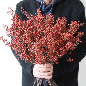 small red fruit branches , dried natural red fruits  bunch，vase filling，christmas  wreath material，home decor，wedding decor ，Crafts making