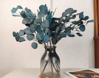 2 colors preserved eucalyptus silver dollar bundle，dried eucalyptus leaves ，vase filling，flower arrangement，eucalyptus decor，home decoration