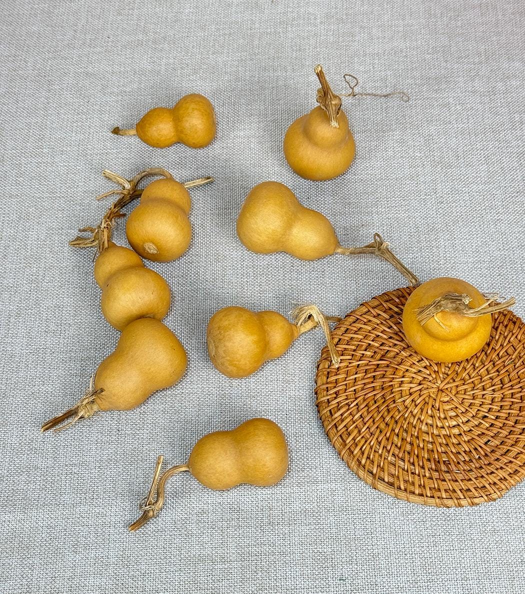 20 Zucche Secche Naturali Per Lavoretti Fai Da Te - Dimensioni 4-6 Cm, Con Gambo, Pronte Per Decorare E Dipingere - 4