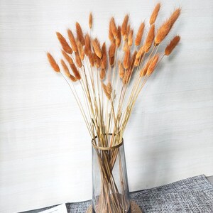 dark orange lagurus grassdried bunny tails grass bundlegrass bouquet for vase DIY craft supportwedding grass decor image 5