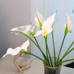 Puede incluir: Un ramo de lirios de agua blancos con pétalos de puntas verdes y espádices de color amarillo brillante, sostenidos por largos tallos verdes. Las flores están dispuestas en un jarrón de vidrio transparente estriado con borde dorado, junto a una figura beige.