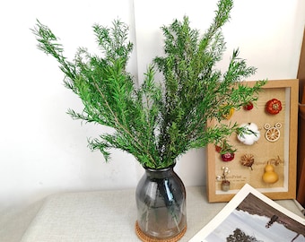 preserved Melaleuca leaves bundle，natural green plant，dried flower arrangement，DIY craft supply，vase filling，home decor，wedding plant decor