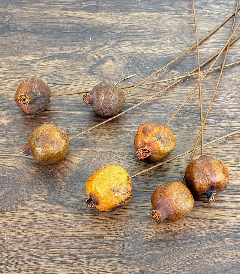 5/10 dried Pomegranate branch，natural fruits，dried flower for vase filler，boho home decor，dry flower arrangement，dry fruits decor，DIY craft image 7