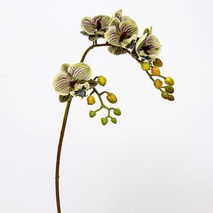 23‘’faux Phalaenopsis Orchid Plant,artificial Orchid Stem,Flower Arrangements,,fake Flower For Vase filler,Home/Wedding Decor,DIY floral