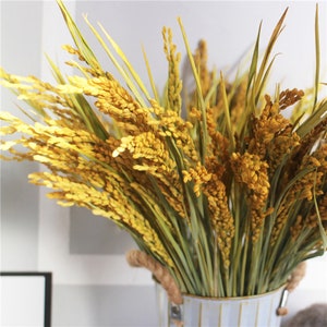 Ramas de arroz natural 50/100, ramas de espigas de arroz reales, arreglos florales secos, materiales para guirnaldas, material para manualidades, decoración del hogar, decoración de bodas