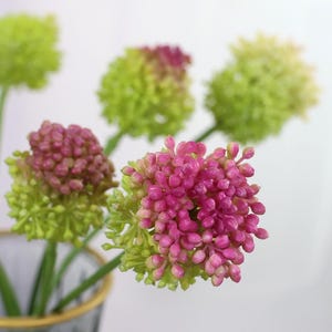 Peut inclure: Gros plan sur des fleurs artificielles dans un vase. Les fleurs sont sphériques et mélangent le vert et le rose. Le vase est gris avec un bord doré. Le fond est blanc.