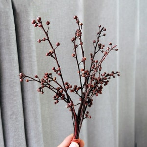 10 sticks/natural twigs bunch ， dried twigs sticks for vase filling，natural plant，dried flower art，  home decoration，wedding plant decor