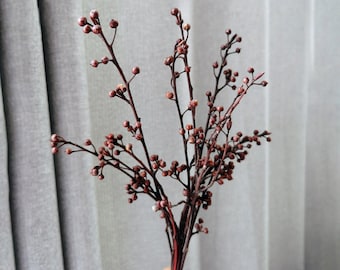 10 stokjes/natuurlijke twijgen bos, gedroogde twijgen stokken voor vaas vulling, natuurlijke plant, gedroogde bloem kunst, huisdecoratie, bruiloft plant decor