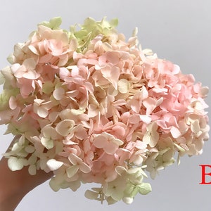 Preserved hydrangea, hydrangea dried flowers, embossed, hydrangea material, hydrangea for nail, floral decor home decoration B
