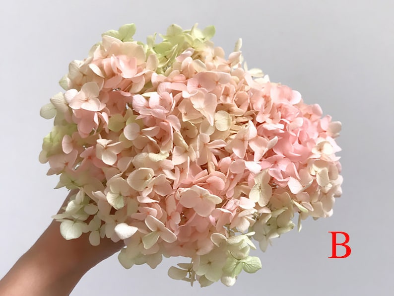 Preserved hydrangea, hydrangea dried flowers, embossed, hydrangea material, hydrangea for nail, floral decor home decoration B