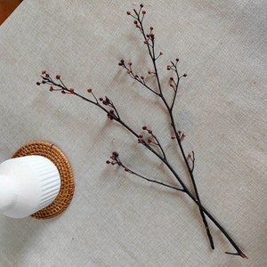 10x natural small twig ，16”，dried twig for vase filler，dried plant，dry flower arrangement，home decoration，wedding plant decoration