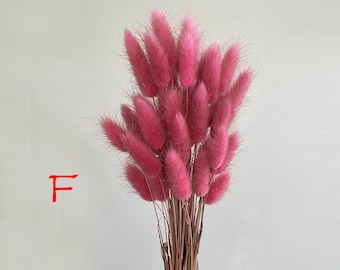 6 color retro bunny tails grass bunch，50 sticks，dried lagurus grass bouquet，dried flowers，DIY craft supply，dry grass for vase，home decor，