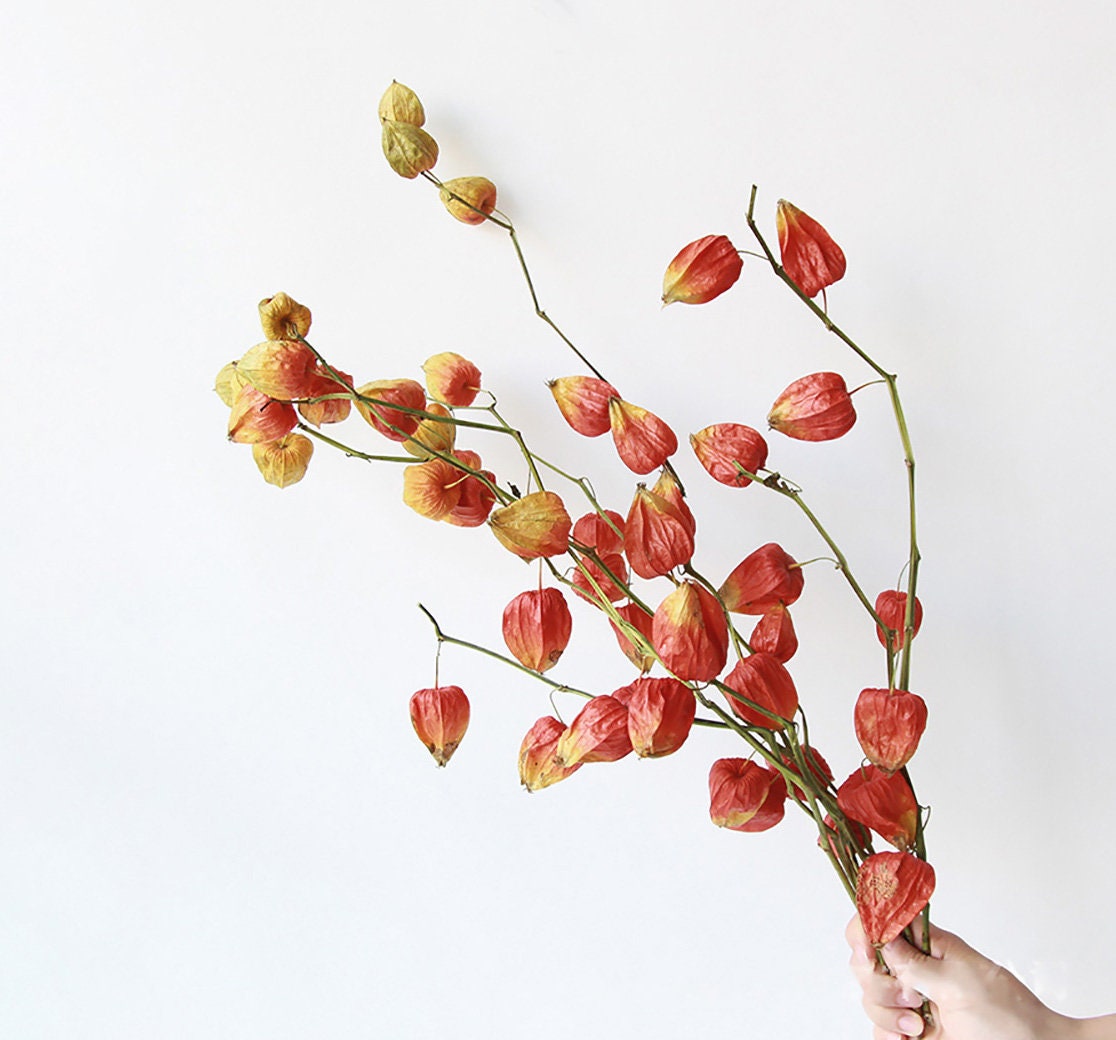 Diy Lantern Vases Etsy