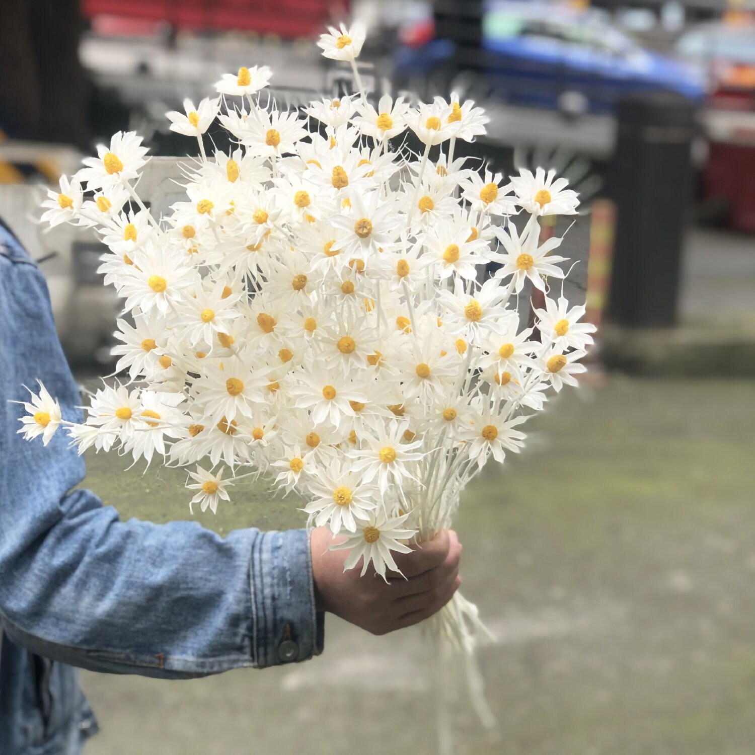 Dried small daisies bouquet OncidiumHamamariadried flowers Etsy