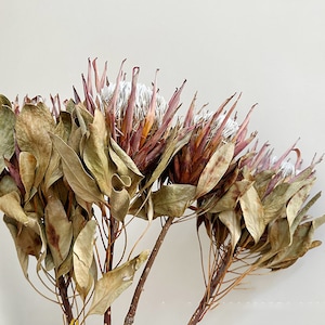 dried protea king flower1 stemsnatural protea stemsdry flower arrangementflower for vase fillingwedding plantfdry flower art image 3