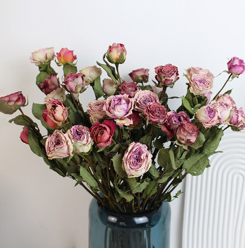 Dried Tiny Roses 5pcs, Dried Beige Pink Roses, Small Dried Rose Flowers for  Crafts 