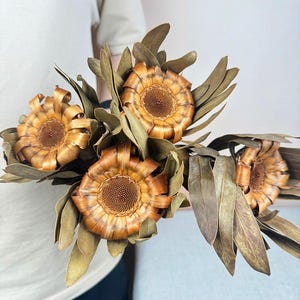 1/2/5 pcs dried protea flower stems，Dried flowers with leaves, dried flower arrangements, vase fillings, home decoration，Wedding Decoration