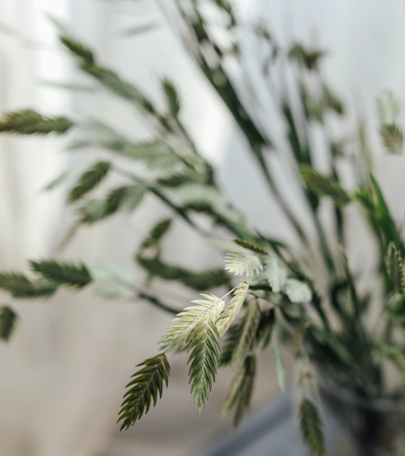 Dry Chasmanthium Grass Bunchdried Grass Bouquet for Etsy