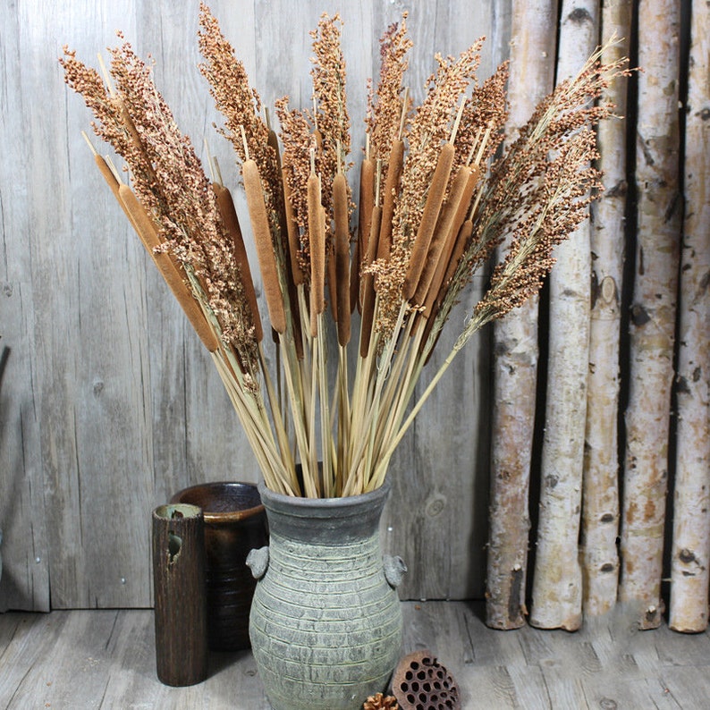 10Dry Cattail jumbo Typha stalks dried plants natural