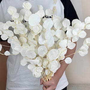bleaching eucalyptus silver dollar bunch， flower arrangement，white eucalyptus for vase filler，home decoration，wedding eucalyptus decor