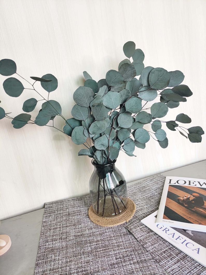 Preserved Silver Dollar Eucalyptus Bundledried Eucalyptus Etsy Canada