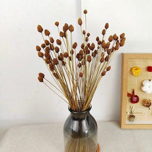 50/100 pcs mini pinecone ball stems，mini flower for vase filling，DIY handcraft supply， home decoration，wedding flower decoration，DIY floral