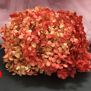 Preserved hydrangea, hydrangea dried flowers, embossed, hydrangea material, hydrangea for nail, floral decor home decoration D