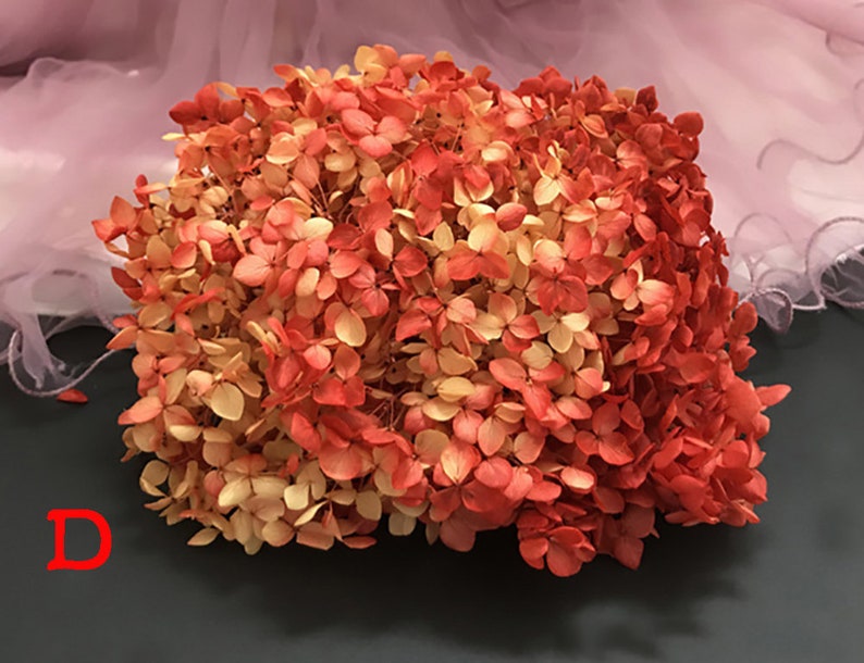Preserved hydrangea, hydrangea dried flowers, embossed, hydrangea material, hydrangea for nail, floral decor home decoration D