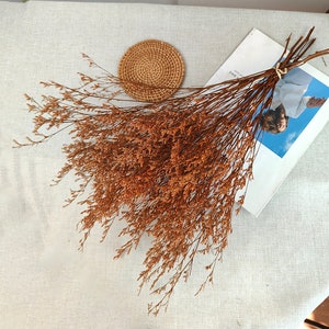 preserved orange grass bunch，dried natural Caspia  grass bundle，vase filler，DIY craft supply，wedding home decor，Rustic Decor，rust bouquet
