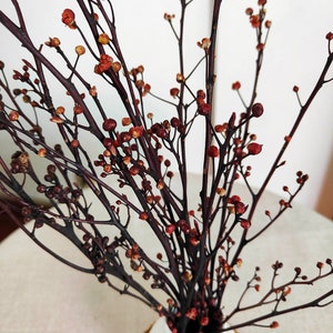 May include: A bouquet of dried branches with small, reddish-brown flower buds.