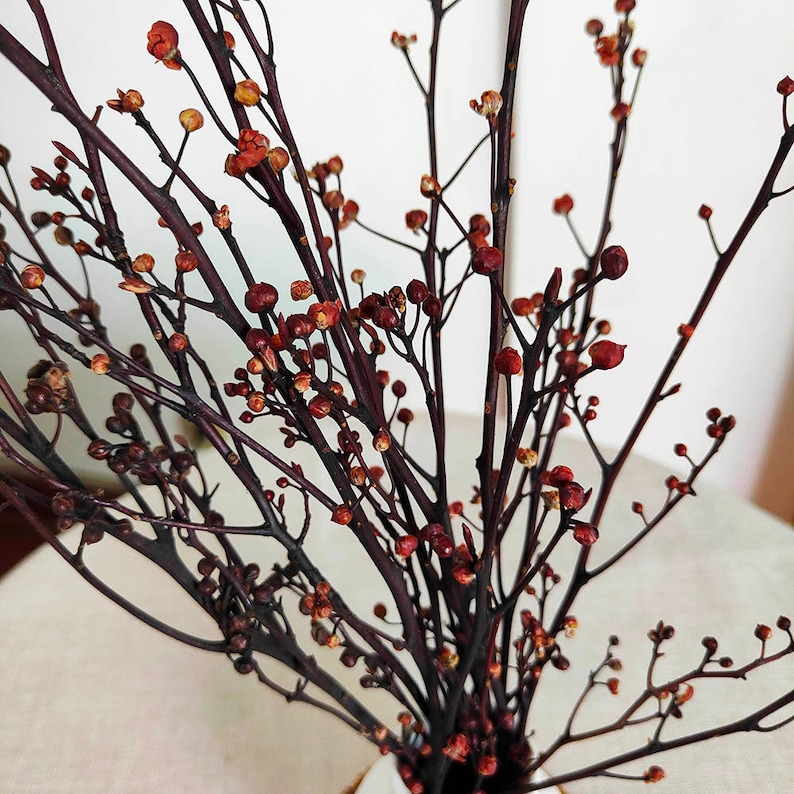 May include: A bouquet of dried branches with small, reddish-brown flower buds.