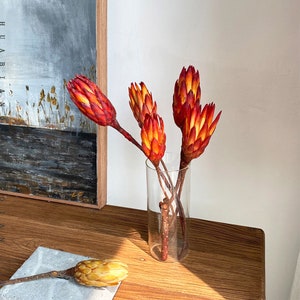 1/2/5/10 african protea repens branches，dried protea flowers，dried flowers arrangement，real flowers for vase，home ornament，wedding flowers