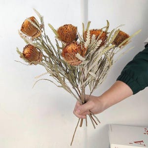 2 / 5 Stück trockener Eucospermum nutans, natürliche Banksia Protea Blumen, Trockenblumengesteck, Home Decor, Hochzeit Blumendekor, DIY Blumen