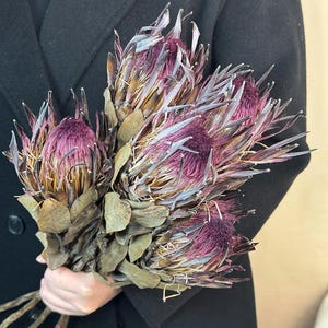 natural protea flowers stems, dried protea king flower, dried flower arrangement, flower for vase filler, home/wedding decor, dry flower art