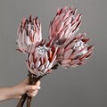 1/2/5 artificial protea stem，high real feel protea flower，flower arrangement，vase filling，centerpiece flower decor,home wedding flower decor