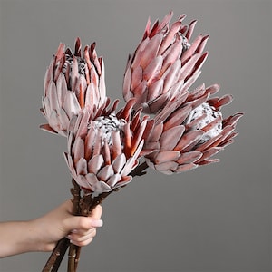 1/2/5 artificial protea stem，high real feel protea flower，flower arrangement，vase filling，centerpiece flower decor,home wedding flower decor