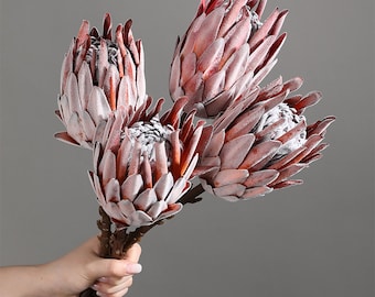 1/2/5 artificial protea stem，high real feel protea flower，flower arrangement，vase filling，centerpiece flower decor,home wedding flower decor