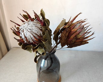 natural protea king flower，dried protea stems，，large size flower for vase filling，flower  arrangement，boho home  decor，wedding flower decor