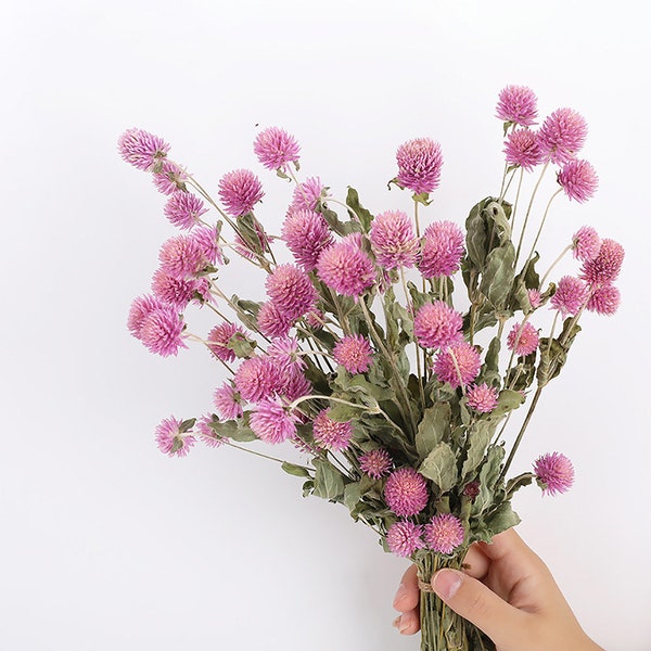 natural pink/ white  Gomphrena flowers bunch,dry Gomphrena flowers   ,diy  craft supply ,flowers  for  vase, bouquet，wreath，wedding decor