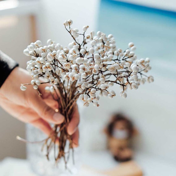 Dried Tallow Berries Bundle Natural Sapium Fruit Branchesdry Etsy