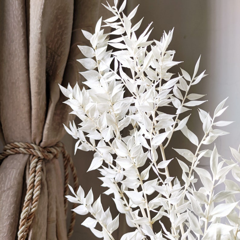 Dried Italian Ruscus Leaf Branchespreserved White Leaves Etsy