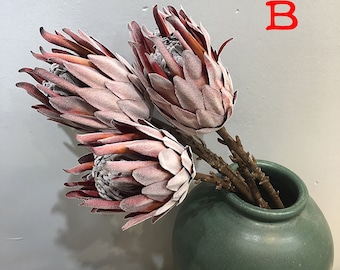 artificial protea flower stems，dried protea banksia ，high quality protea flower，dried flower arrangement，flower for vase filling，home decor