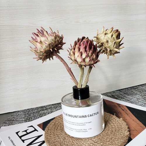 1/2/5/10Dried African tyrant flowers, scarce dried flowers, dried flowers for vases, dried flower arrangements, wedding flowers, home decor