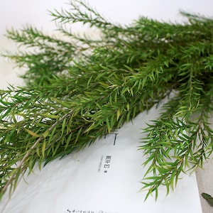 preserved melaleuca bracteata bunch，dried melaleuca leaves bundle，DIY craft supply ，wreath making，home decoration，wedding decor