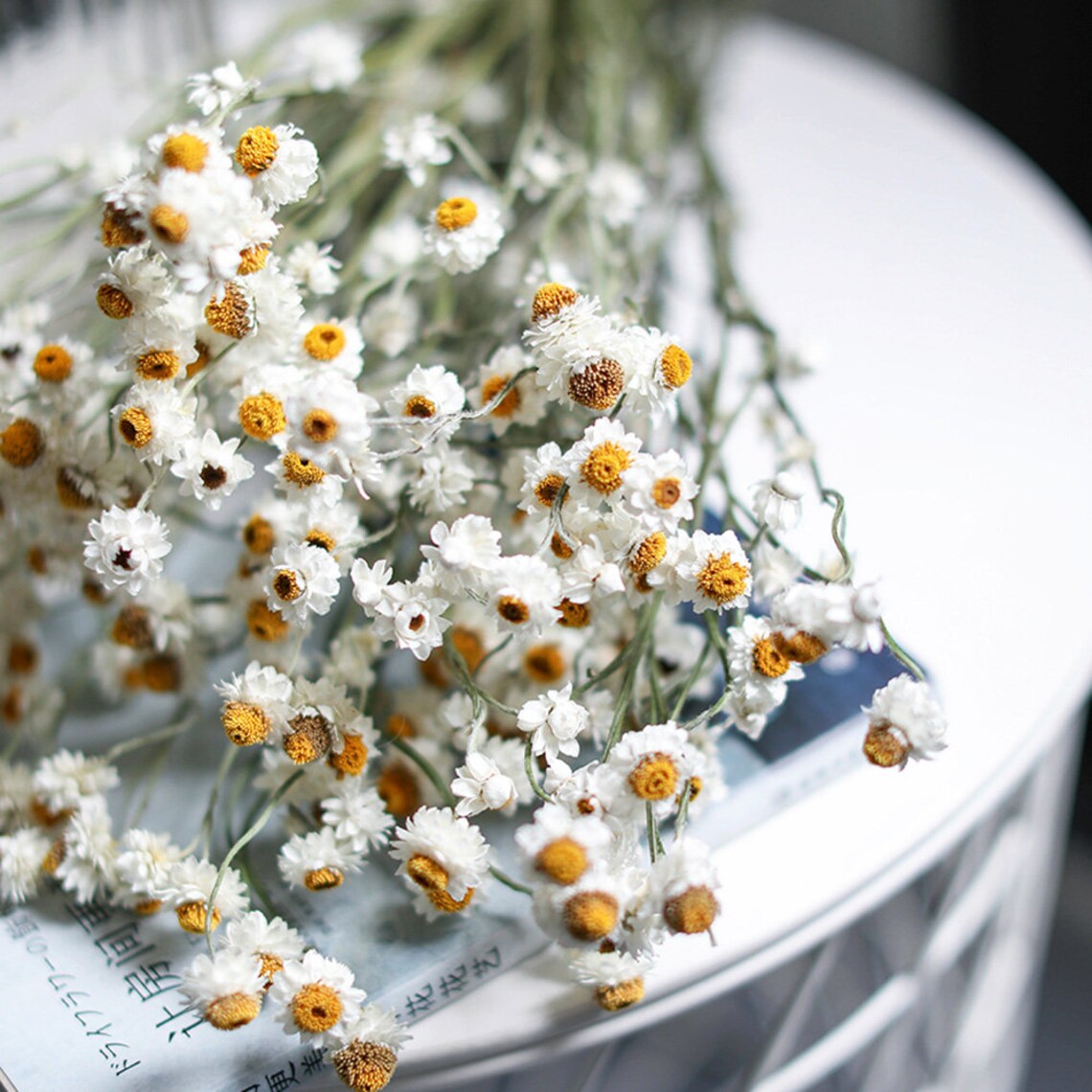 Dried Chrysanthemum Bundledried Flowers Bouquetflowers Etsy