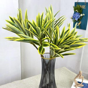 Dracaena silk plant - Etsy sterreich