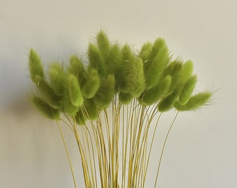 4 color dried lagurus grass bunch，natural bunny tail grass bouquet，grass for vase filler，DIY  craft supply ，home decor，wedding grass decor