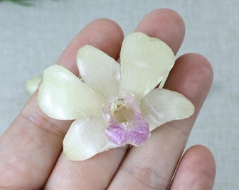 6 type real orchid flower resin charm,3D unique botanical jewelry making ，DIY resin jewelry/necklace supply