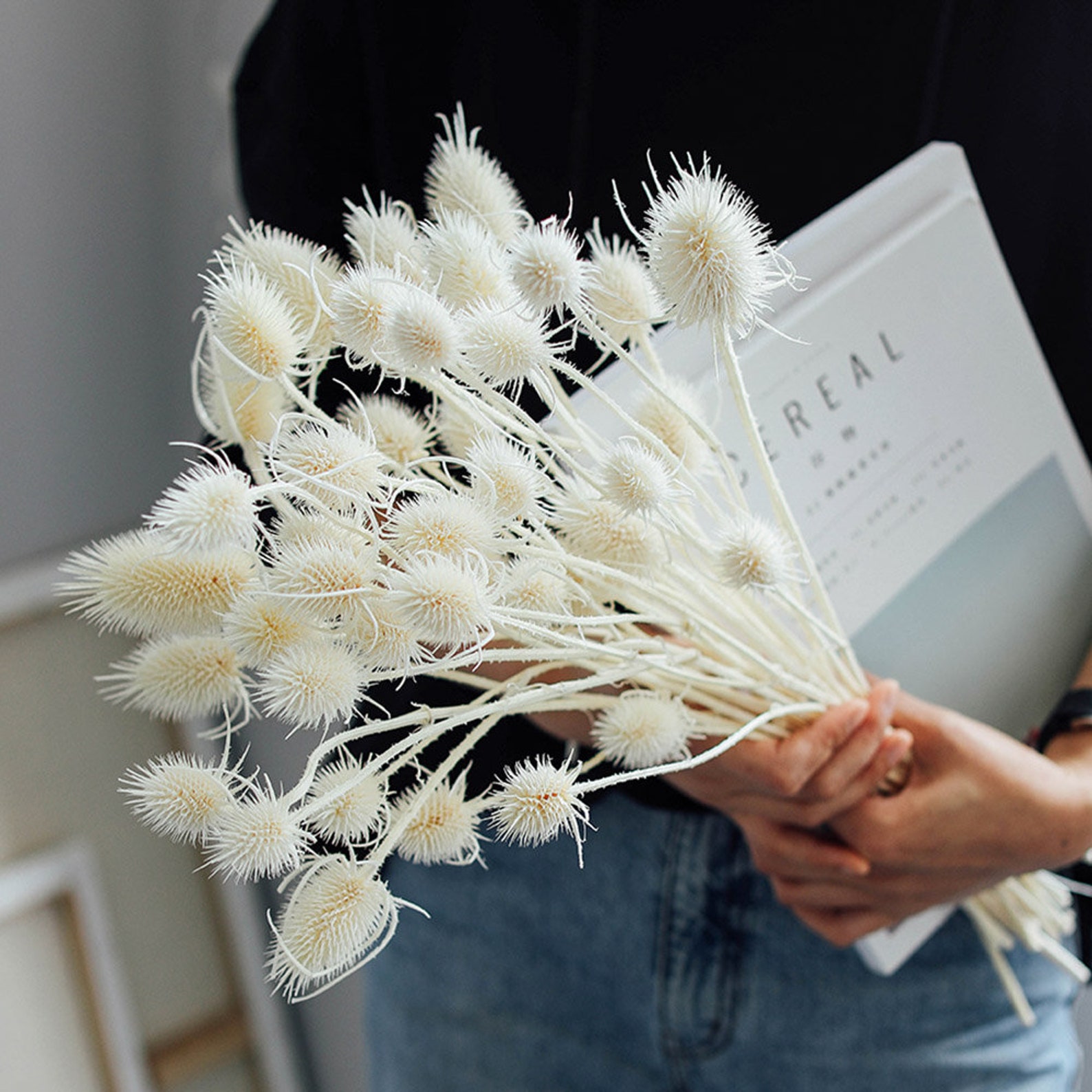 White Lagre Eryngium Bunch Dried Eryngium Flowers Etsy