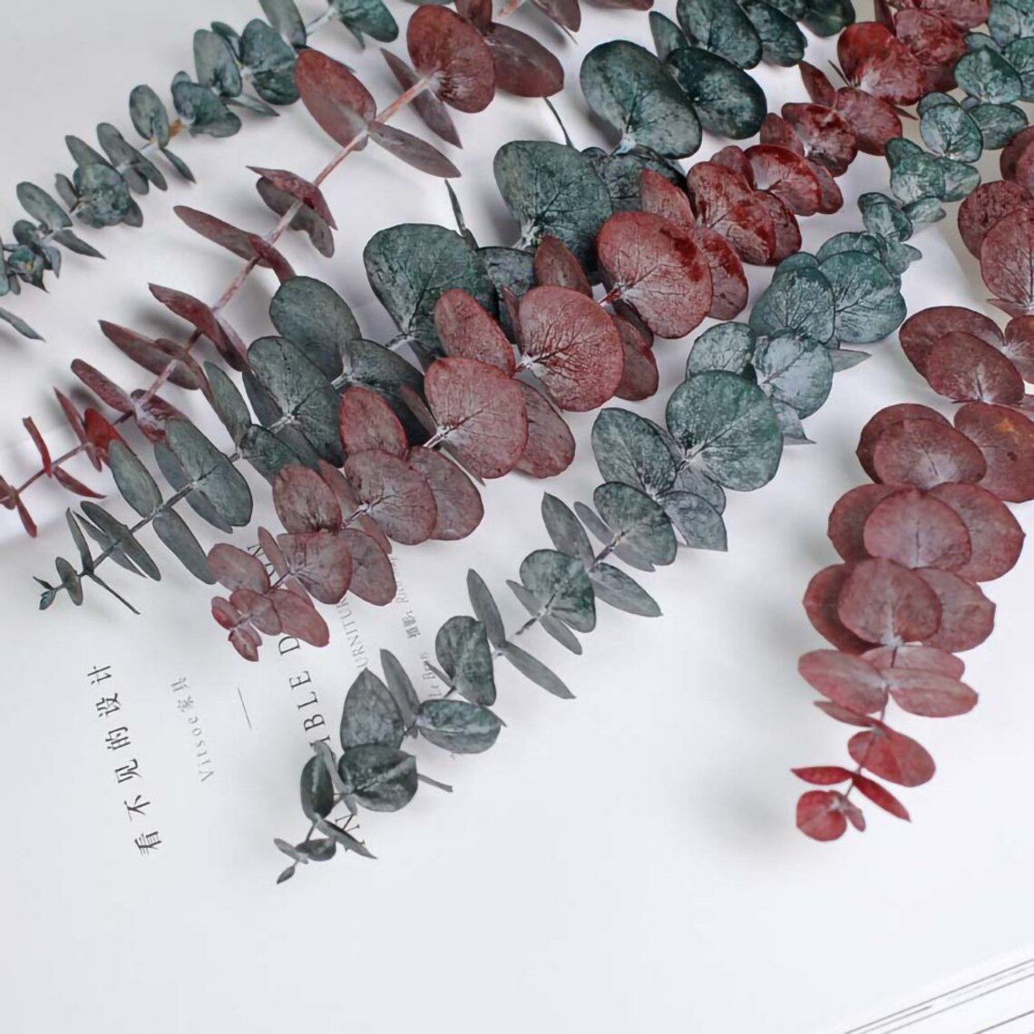 10 Stems Eucalyptus Branches12 /20 Dried Eucalyptus Etsy
